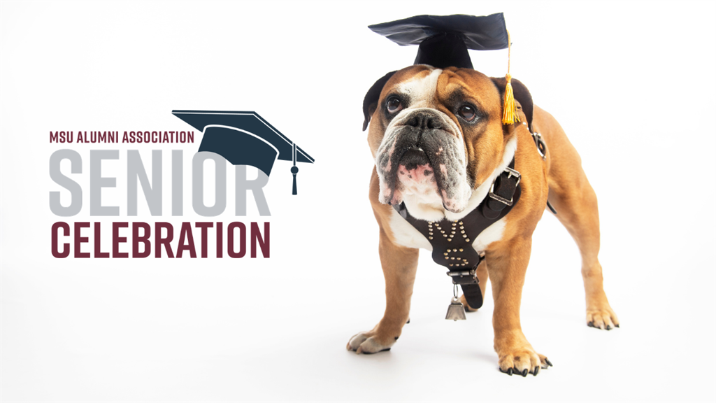 Image of Bully mascot with graduation cap and Senior Celebration logo
